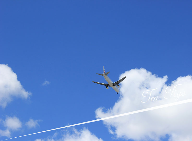 北海道<br>雪国童话，花海秘境，温泉美食。北海道，邂逅最纯粹的北国浪漫与自然馈赠。